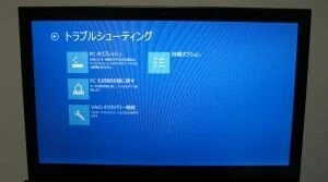 「バイオのリカバリー機能」を実行
